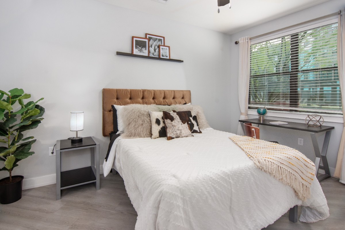 Cozy bedroom with a bed desk and plants