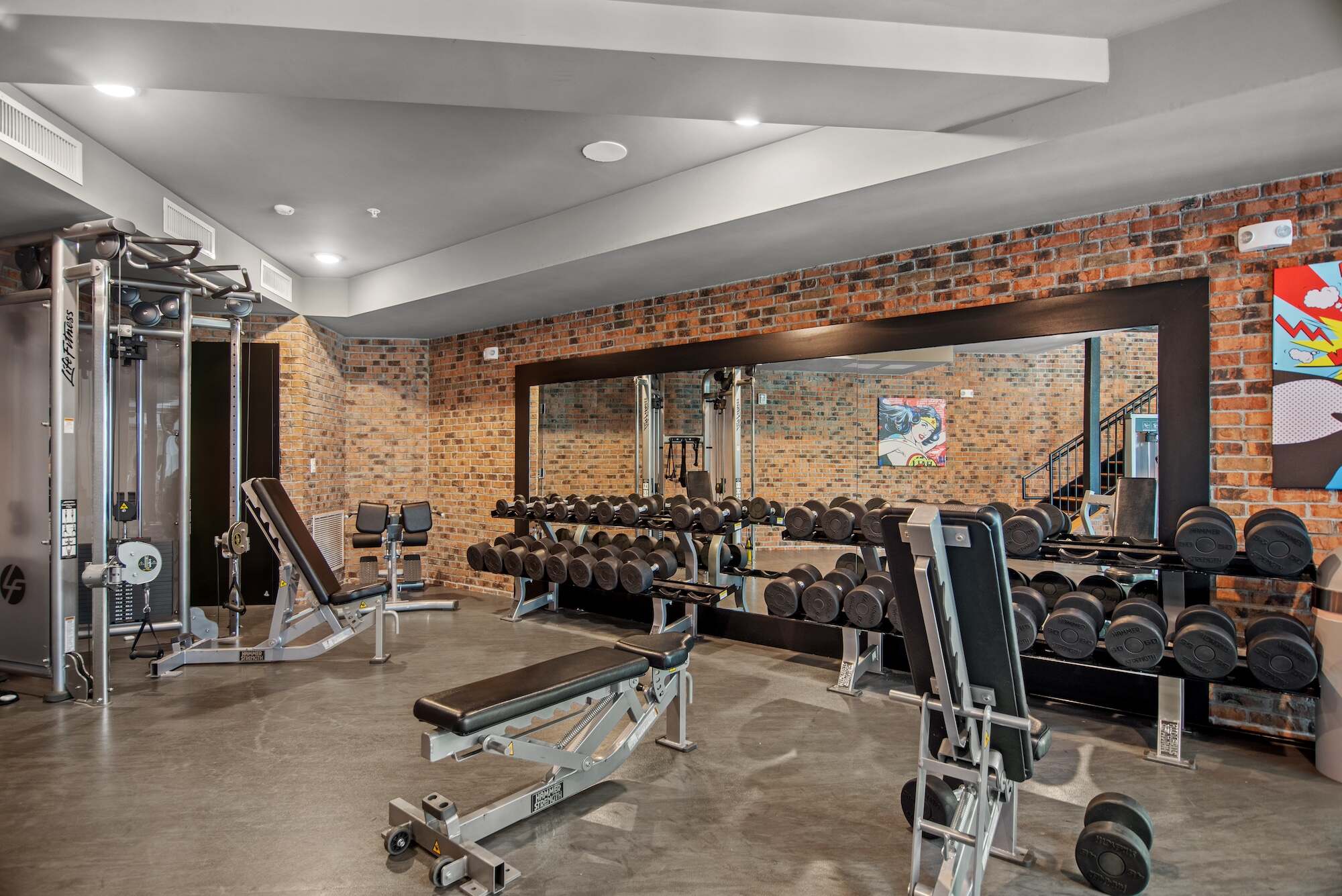 Modern gym interior with weights benches and workout equipment