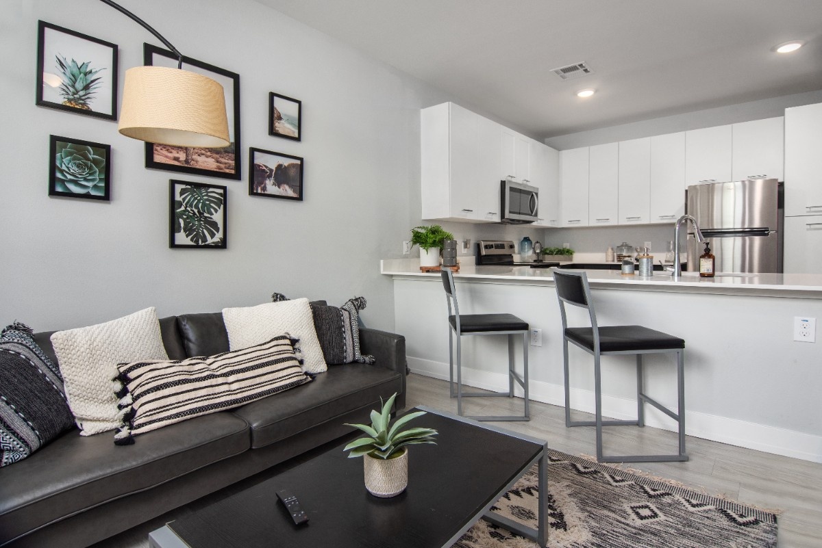 Modern living room and kitchen with stylish decor and furniture